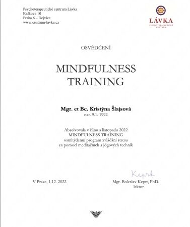 mindfulness training